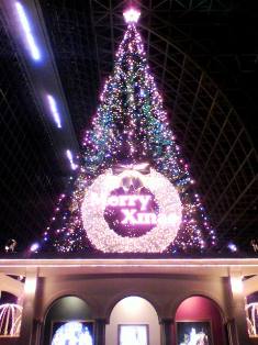 １１１１　京都駅クリスマスツリー.jpg