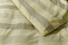 コットンジャガード ライン(カバー)